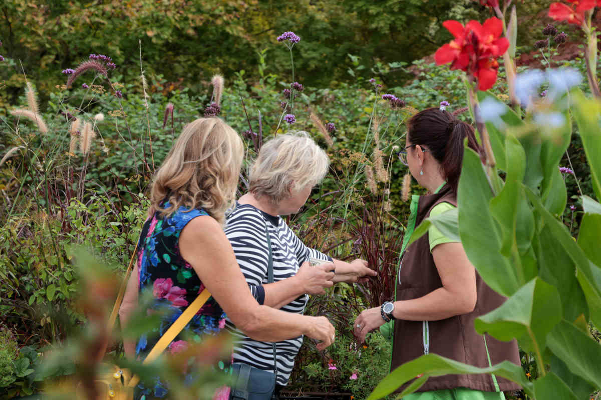 Trije obiskovalci opazujejo cvetoče rastline na vodenem ogledu po zasaditvah v Arboretumu Volčji Potok.