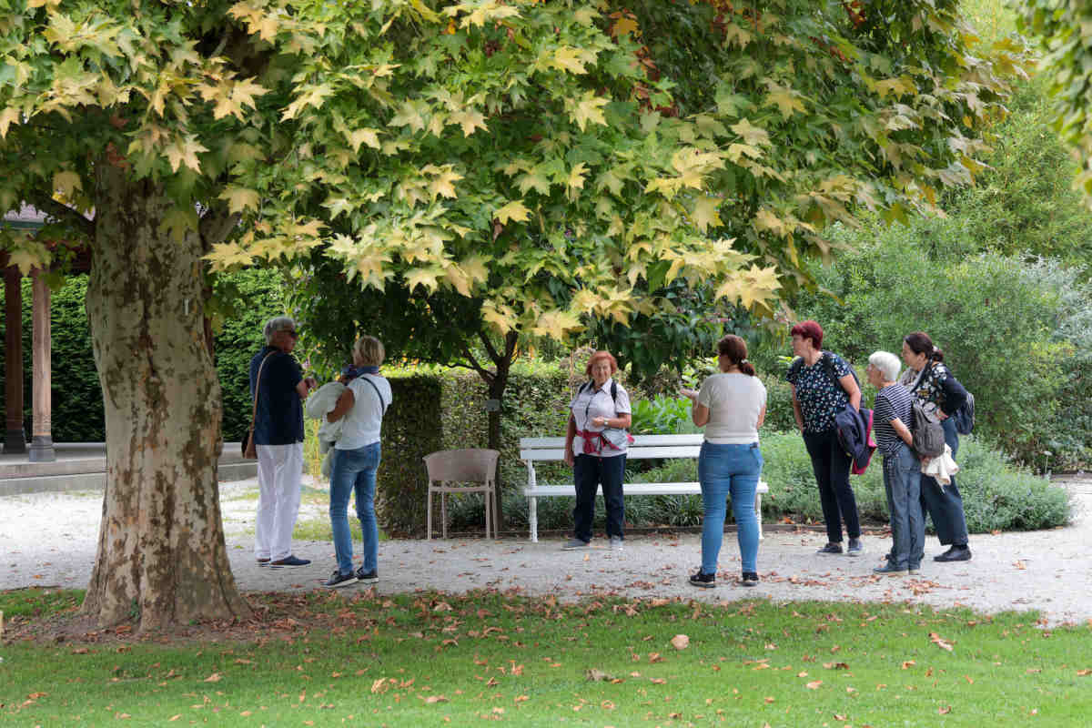 Postanek v senci drevesa s skupino prijateljev Skupina obiskovalcev stoji pod mogočnim drevesom ob klopi v Arboretumu Volčji