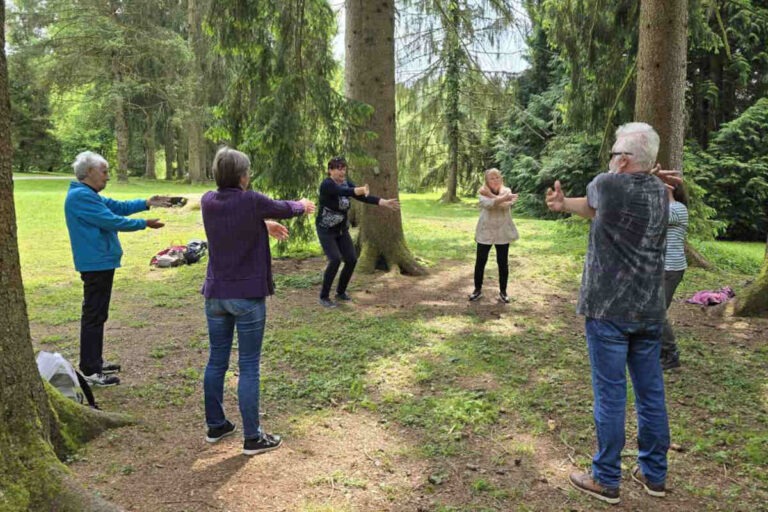 Skupina starejših izvaja počasne raztezne vaje med drevesi med gozdno terapijo