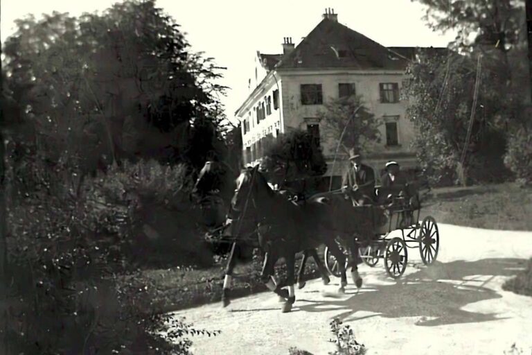 Črno-bela zgodovinska fotografija konjske kočije z voznikom, ki se pelje po peščeni poti pred dvorcem, obkroženem z visokimi drevesi.