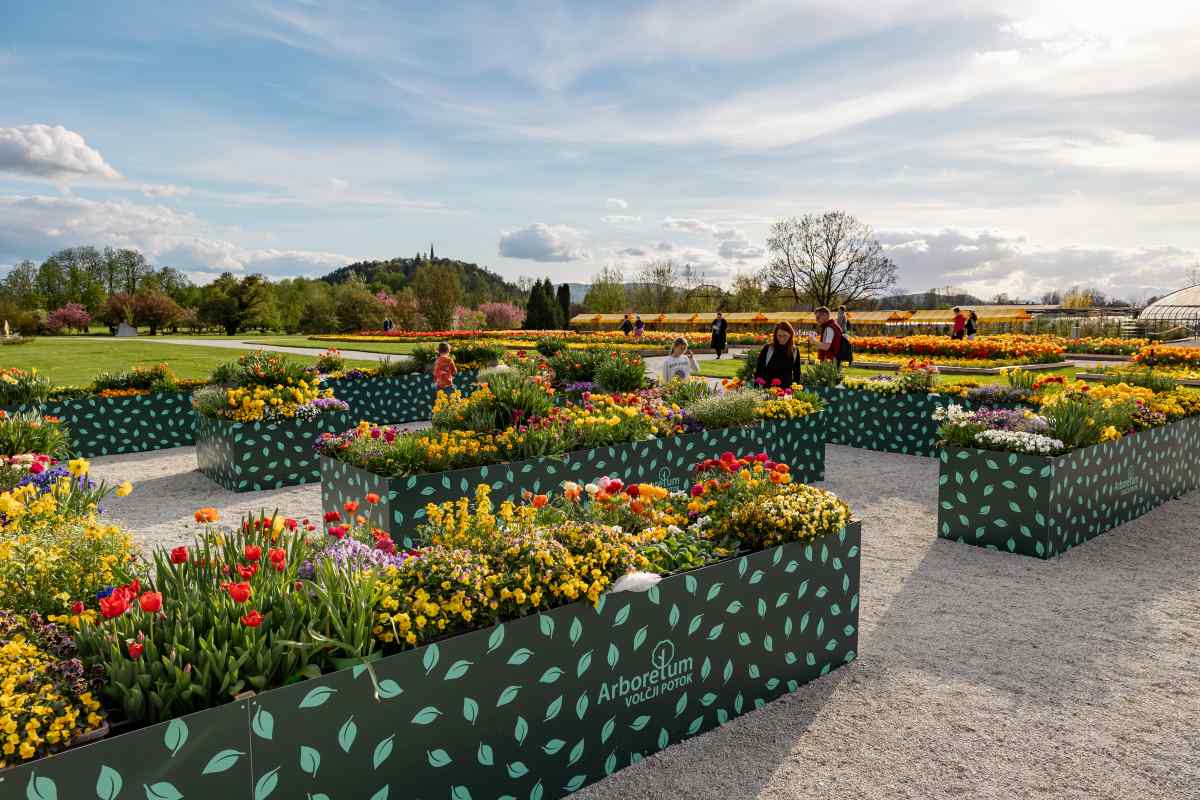 Cvetoči labirint v pomladnem razcvetu Cvetoči labirint v Arboretumu Volčji Potok navdušuje z bogastvom pomladnih cvetlic in vabljivim prostorom za sprehod, raziskovanje in uživanje med barvami pomladi.