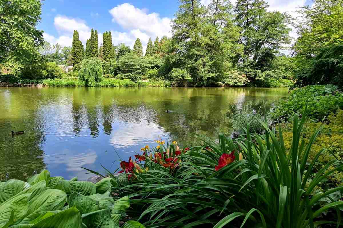 Lake View in Arboretum Volčji Potok A calm lake in Arboretum Volčji Potok surrounded by dense green trees and shrubs, with reflections of the sky in the water and leafy plants with red flowers in the foreground.