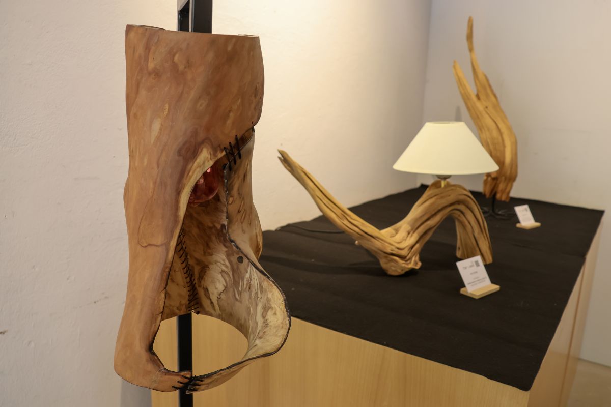 Les kot svetilo in umetniški objekt Galerijski prostor z umetniškimi svetili in kiparskimi predmeti iz naravno oblikovanega lesa.