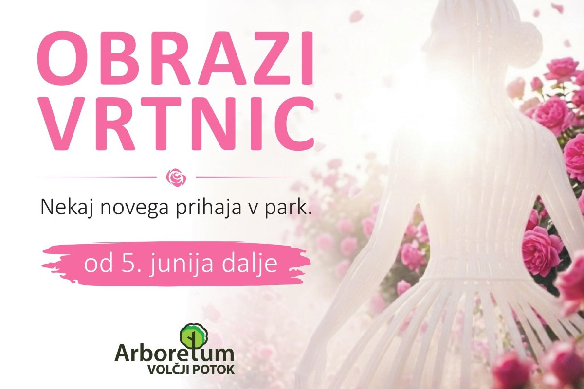 Promocijska grafika za dogodek Obrazi vrtnic v Arboretumu Volčji Potok. Na levi strani je velik rožnat napis Obrazi vrtnic, pod njim besedilo Nekaj novega prihaja v park in datum od 5. junija dalje. Na desni strani je svetla silhueta ženske figure med rožnatimi vrtnicami, spodaj je logotip Arboretuma Volčji Potok.