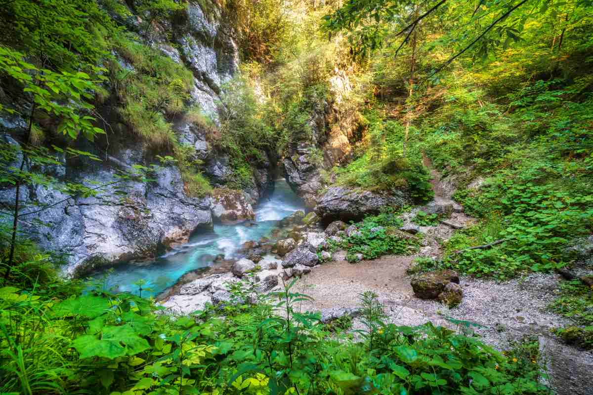 Soteska Predaselj v Kamniški Bistrici z modrozeleno reko med skalami, obdana z gostim zelenjem in osvetljena s sončnimi žarki.