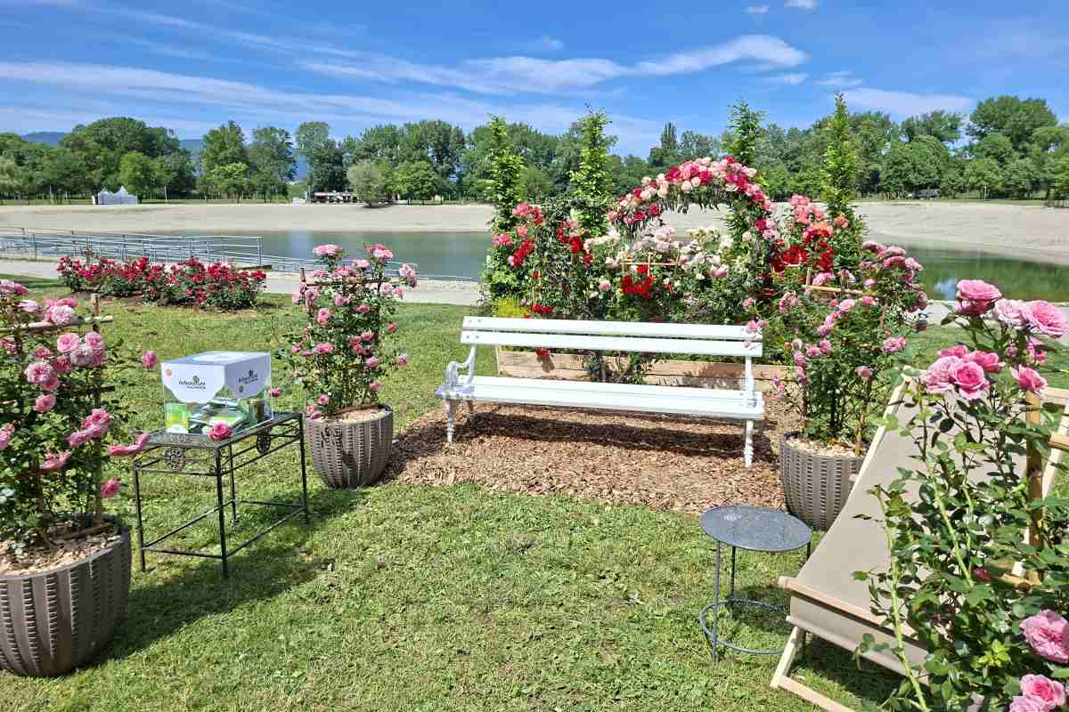 Vrtnična klop Arboretuma Volčji Potok na Floraart 2026 Bela vrtna klop je obdana z lonci vrtnic in cvetličnim lokom na razstavnem prostoru Arboretuma Volčji Potok ob jezeru.