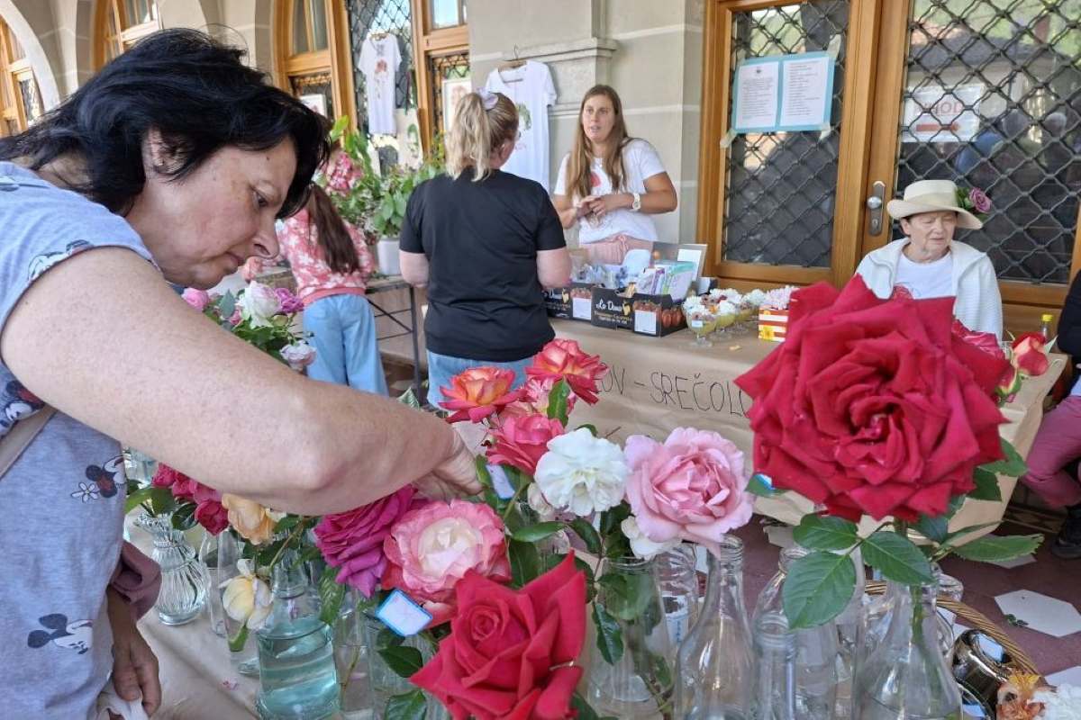 Glasovanje za najlepšo vrtnico, Kindlerjev park Obiskovalci opazujejo razstavljene vrtnice v steklenicah in vazah na mizi. V ospredju so rdeče, rožnate, bele in rumene vrtnice.