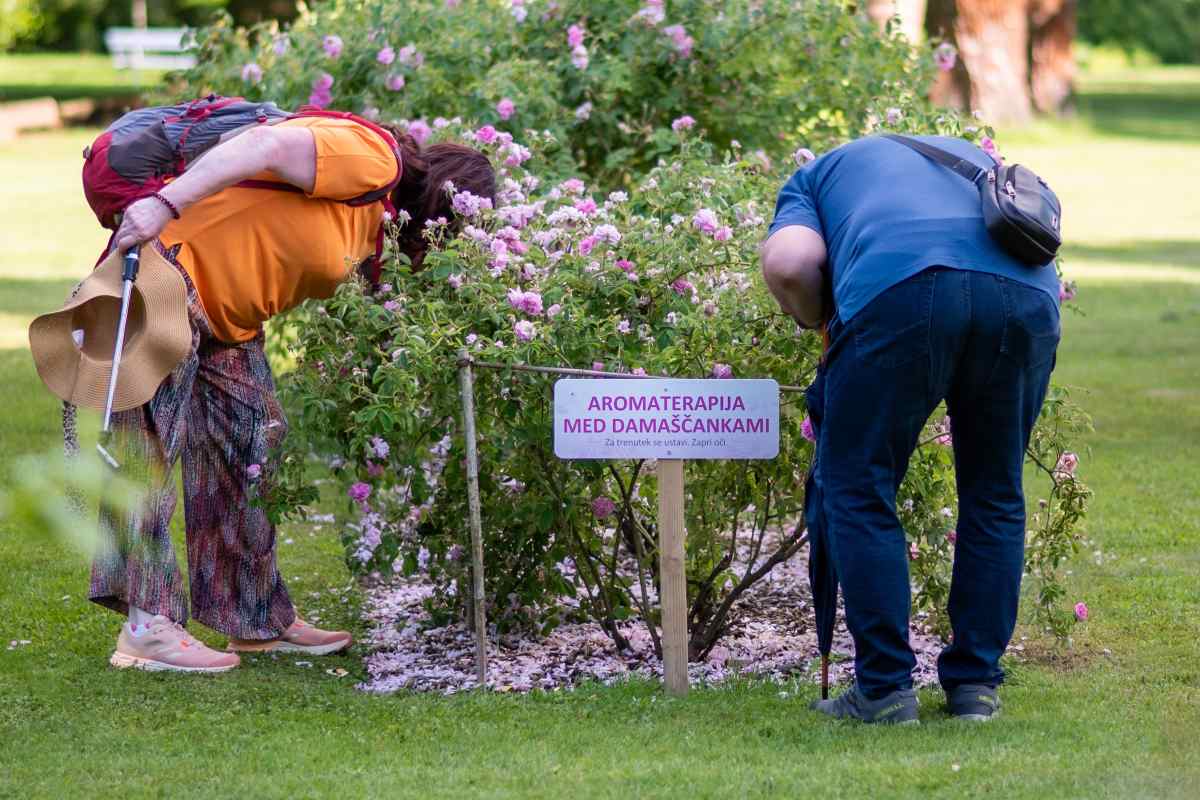 Aromaterapija med damaščankami, foto Nika Halas Obiskovalca se sklanjata k grmom damaščanskih vrtnic in vonjata rožnate cvetove. Med grmi stoji napis »Aromaterapija med damaščankami«, prizor pa poteka na zeleni trati v rozariju.