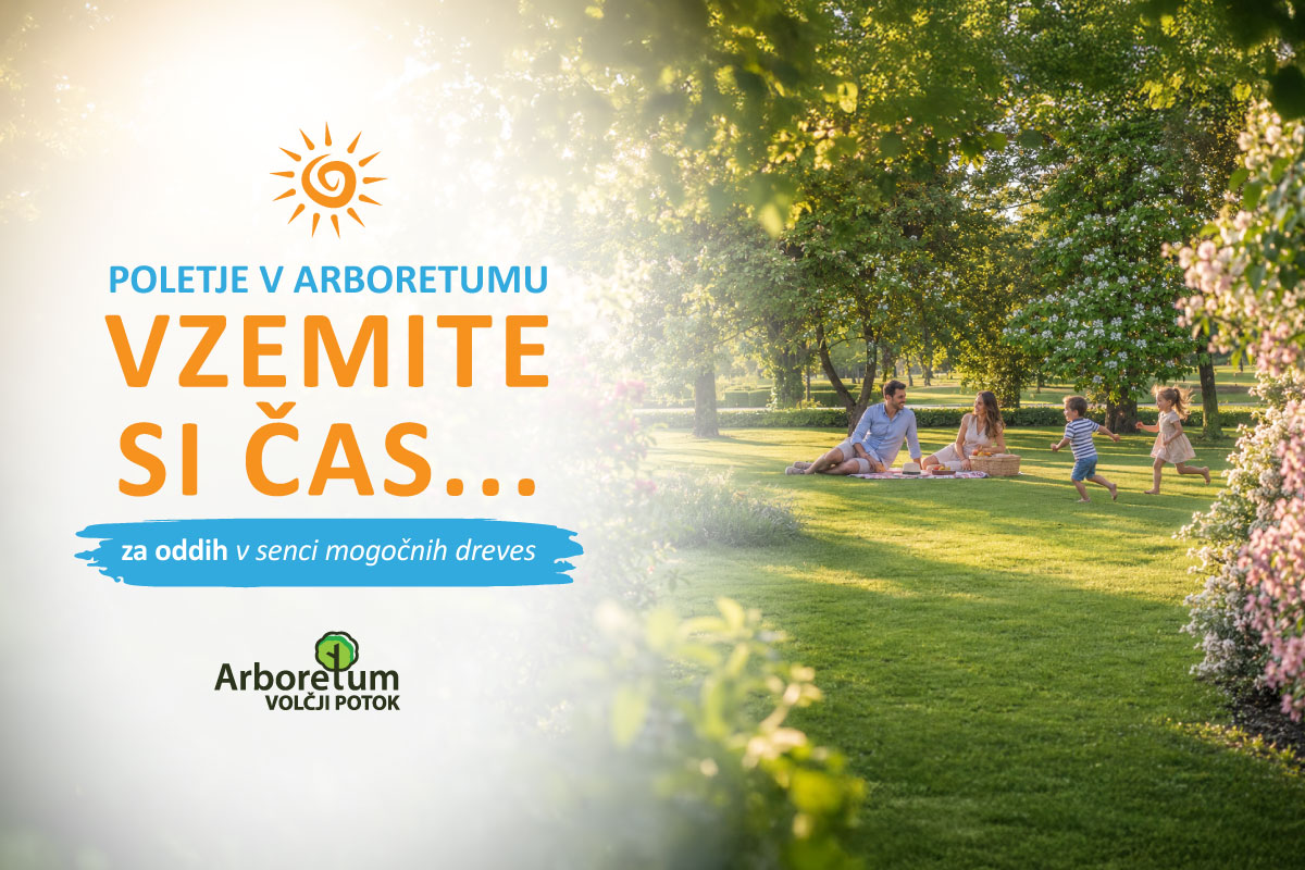 Družina počiva na odeji na travniku v senci dreves, otroka se igrata, ob fotografiji je napis Poletje v Arboretumu, Vzemite si čas za oddih v senci mogočnih dreves.