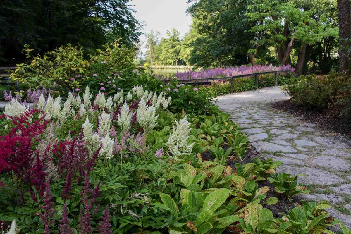 Cvetoča pot skozi poletni park Kamnita pot vodi med bujnimi poletnimi zasaditvami z belimi, rožnatimi in vijoličnimi cvetovi.