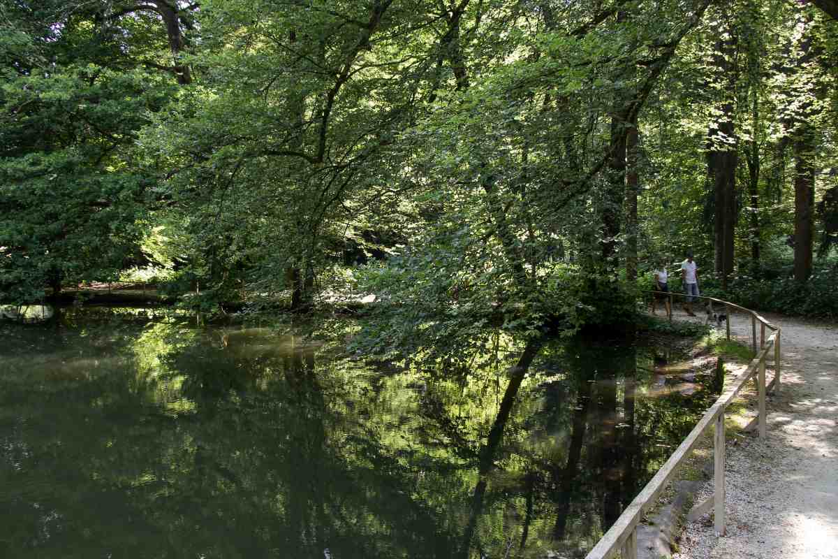 Poletni sprehod ob jezeru Senčna pot ob vodi v Arboretumu, kjer se med drevesi zrcali zelenje, ob ograji pa hodijo obiskovalci.