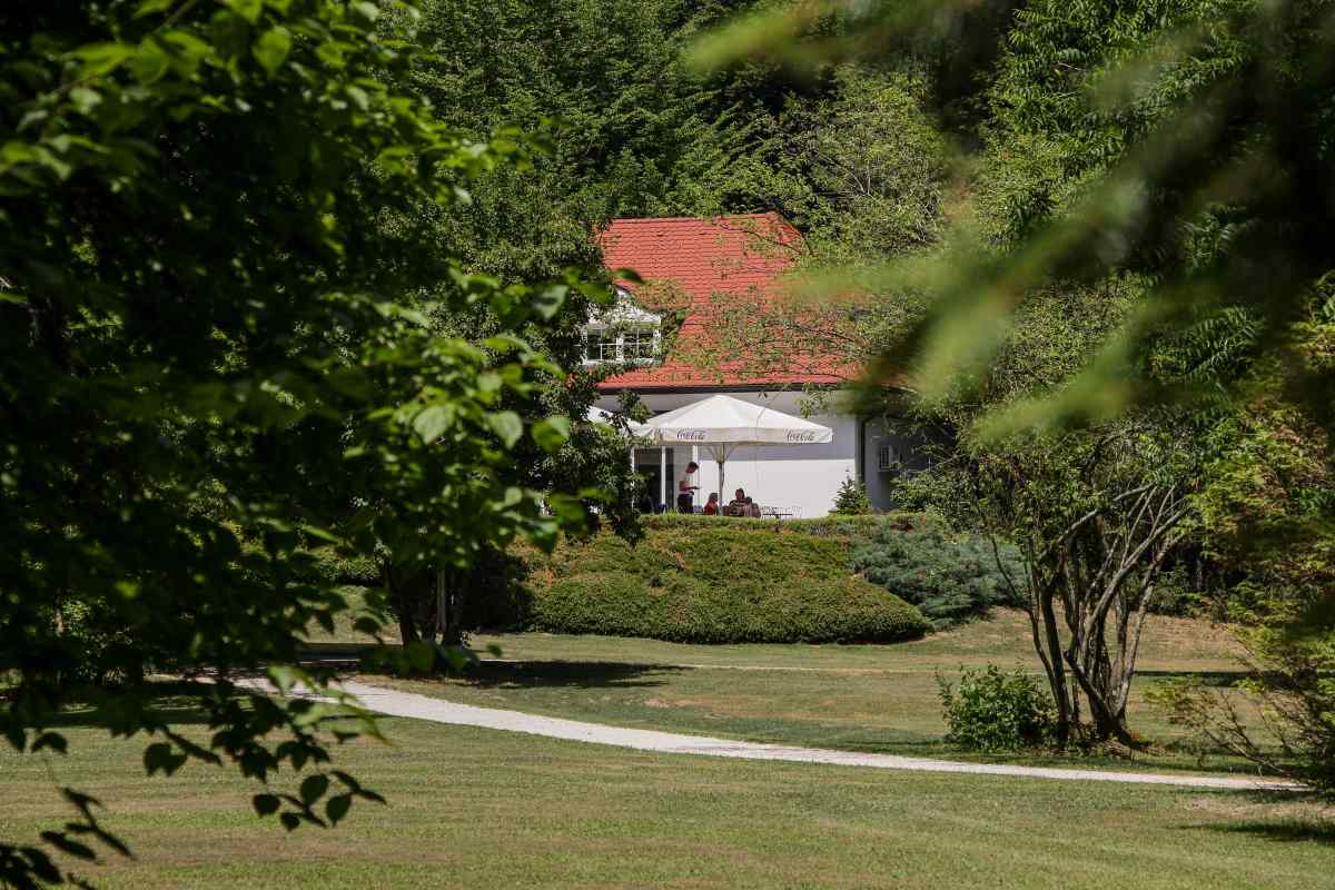 Pogled proti kavarni med drevesi Med zelenimi drevesi se odpira pogled na stavbo z rdečo streho in senčniki kavarne v Arboretumu.