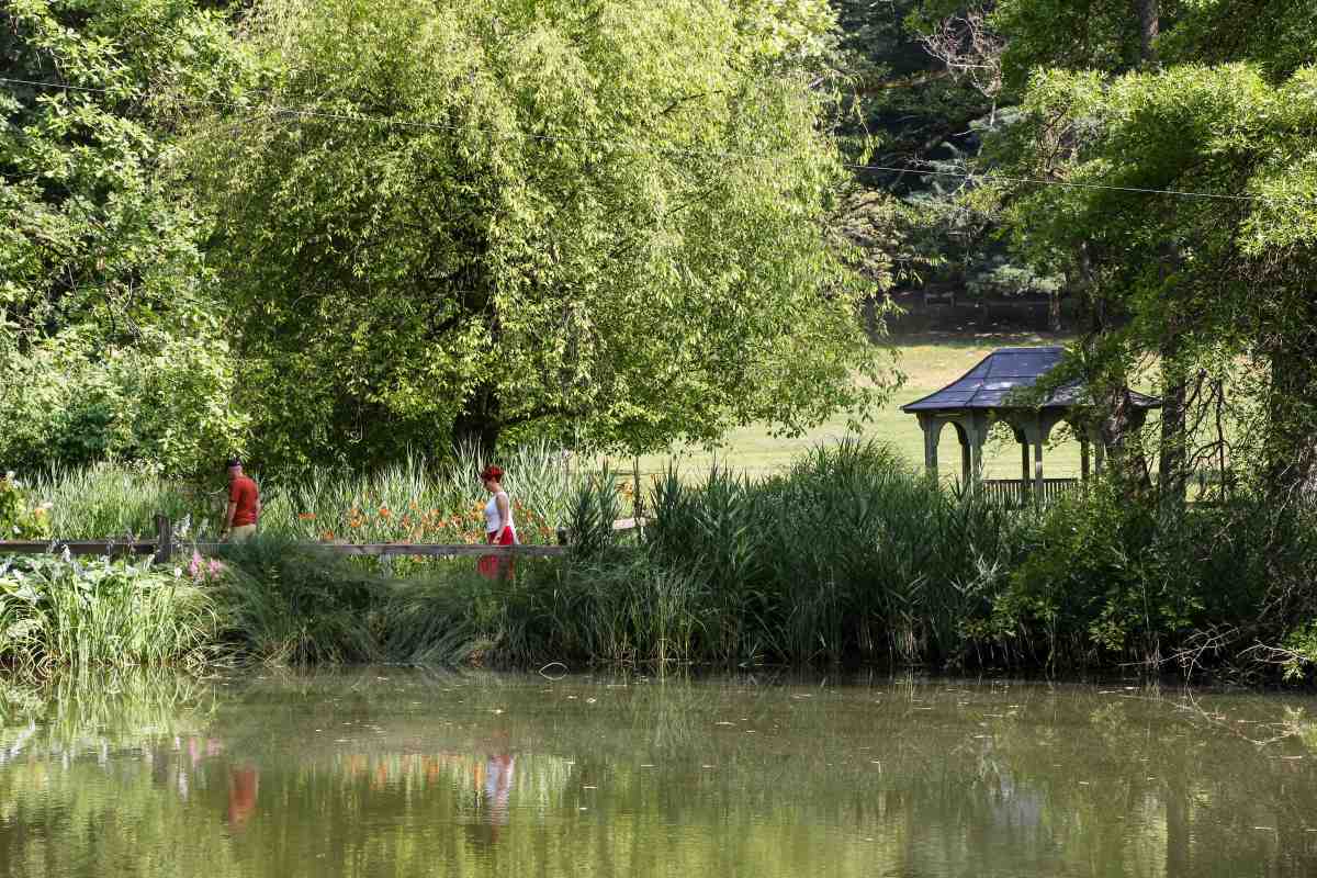 Sprehod ob jezeru Obiskovalca hodita po poti ob jezeru, ob vodi rastejo visoke trave, v ozadju pa je majhen paviljon med drevesi.