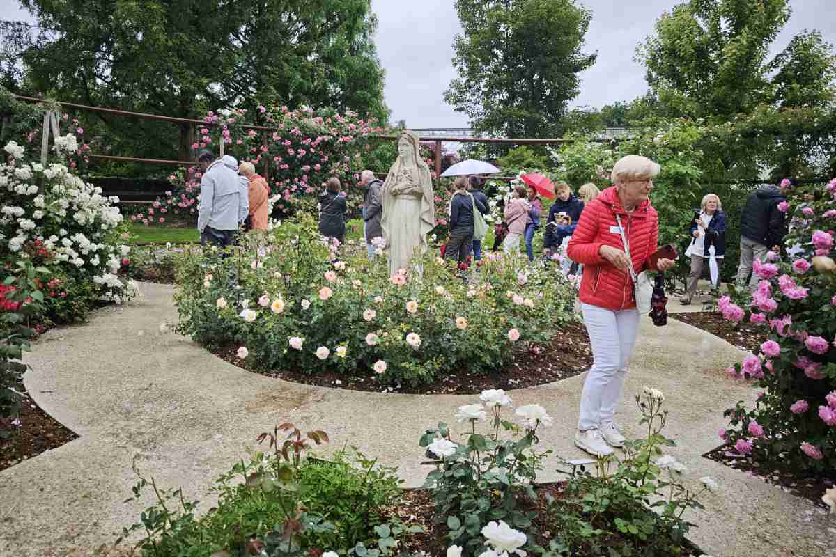 mednarodni forum vrtnice 12 Skupina udeležencev Mednarodnega foruma o vrtnicah stoji v rožnem vrtu Arboretuma Volčji Potok in posluša strokovno predstavitev vrtnice.