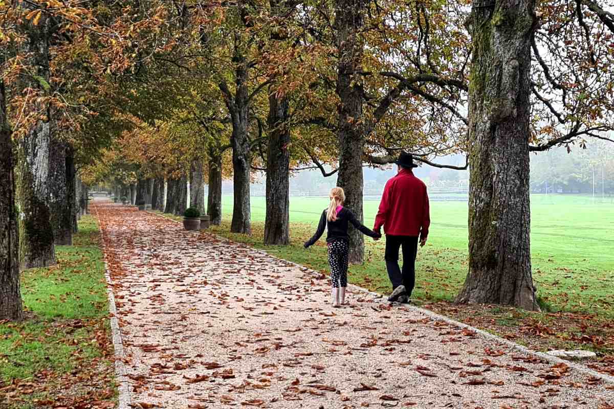 Skupaj po jesenskem drevoredu. Foto: Mija Jerman. Deklica in odrasel moški v rdeči jakni se držita za roke in hodita po drevoredu, prekritem z jesenskim listjem.