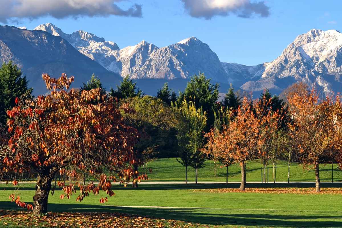 Jesenske barve Arboretuma pod Kamniško-Savinjskimi Alpami Foto: Mija Jerman. Drevesa z rdečim in oranžnim jesenskim listjem na zeleni tratah Arboretuma, v ozadju se dvigajo osončeni vrhovi Kamniško-Savinjskih Alp.