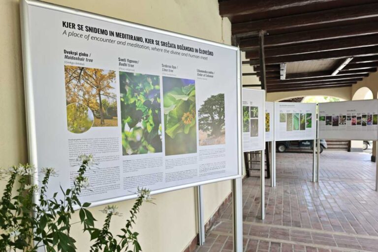 Razstavni pano v pokritem hodniku, ki v slovenskem in angleškem jeziku vabi k razmisleku o srečanju božanskega in človeškega skozi meditacijo, s podrobnejšimi opisi štirih vrst dreves.