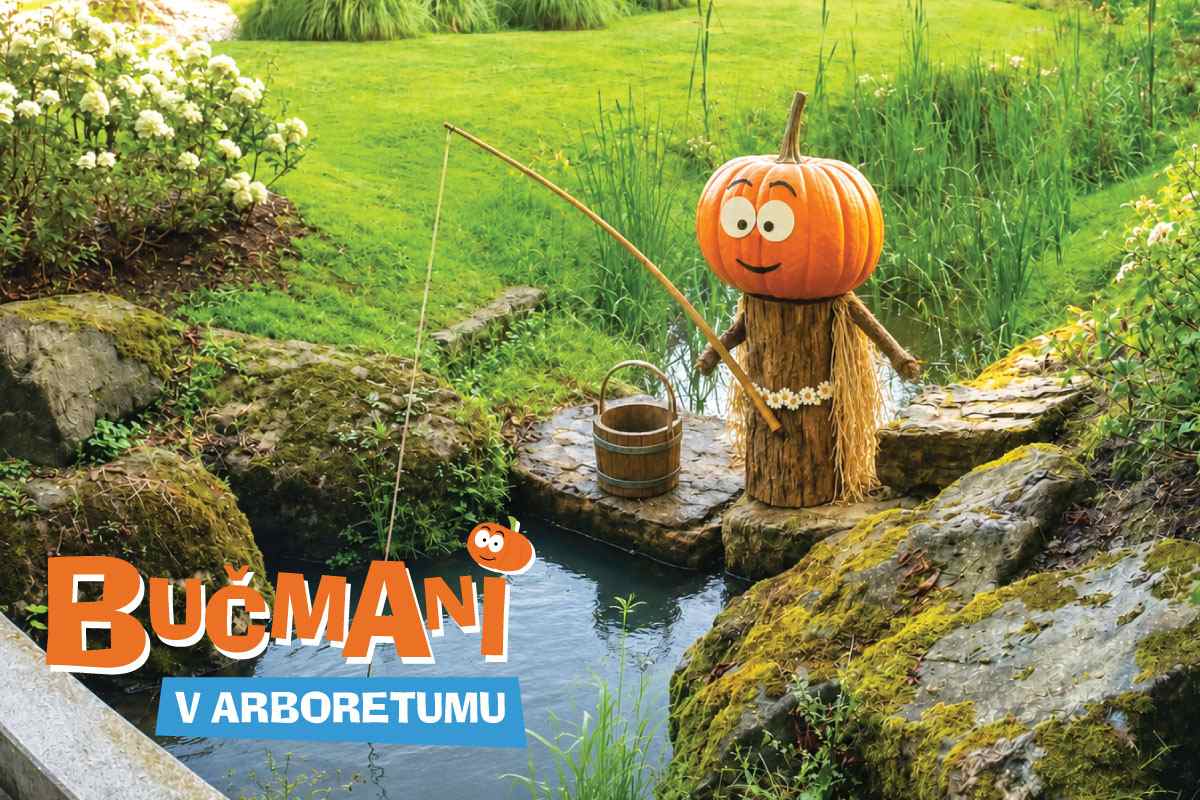 Bučman z oranžno bučo namesto glave stoji ob potoku z ribiško palico in lesenim vedrom. Spodaj je napis »Bučmani v Arboretumu«.