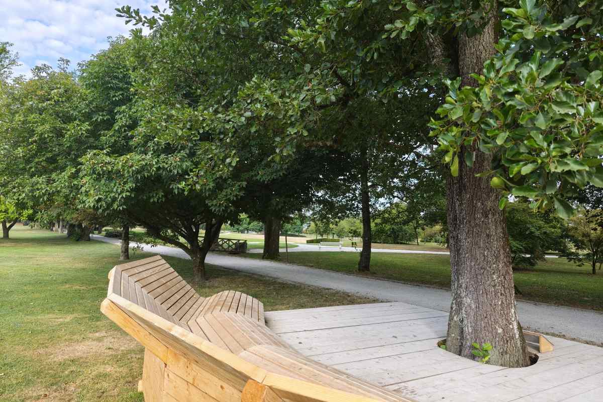 Lesena klop in podest ob črni jelši z zvočno instalacijo SONUS ALNI v Arboretumu Volčji Potok.