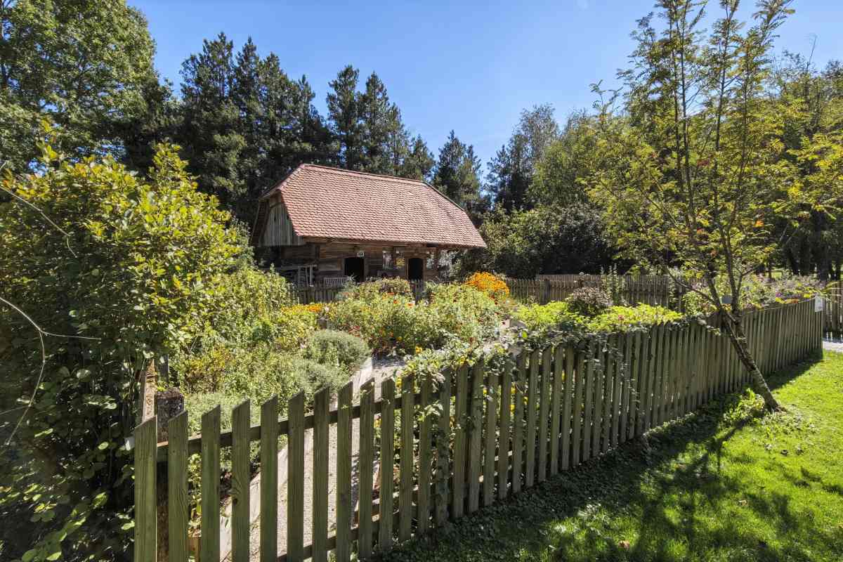Ograjen vrt z raznovrstnimi rastlinami in cvetjem, za njim pa stoji stara lesena kašča z opečnato streho.