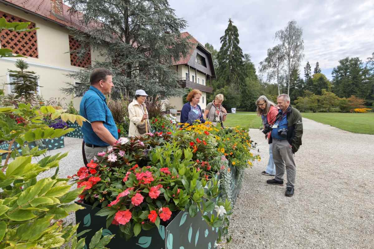 Skupina obiskovalcev ob poti opazuje visoke grede, polne raznobarvnega cvetja in zelenih rastlin.