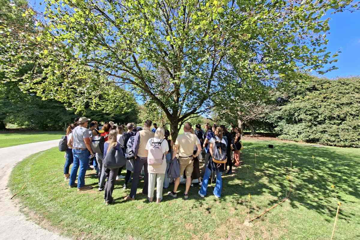 Skupina udeležencev je zbrana okoli drevesa na trati, ob njem je z vrvico in količki označena površina.
