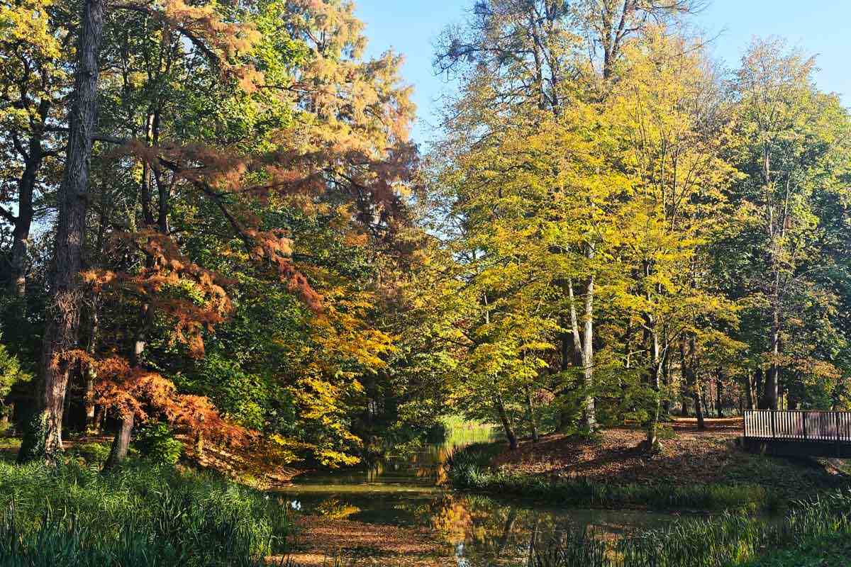 Jesenske barve ob vodi v Arboretumu Opeka Drevesa z rumenim, oranžnim in zelenim listjem se zrcalijo v mirni vodi, ki jo na desni prečka mostiček z leseno ograjo.