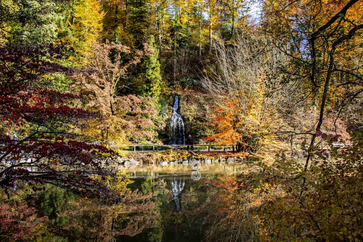Slap in jesenski odsevi v Arboretumu Slap se spušča med skalami za potjo z leseno ograjo. V vodi se zrcalijo okoliška drevesa v rumenih, oranžnih in rdečih barvah.