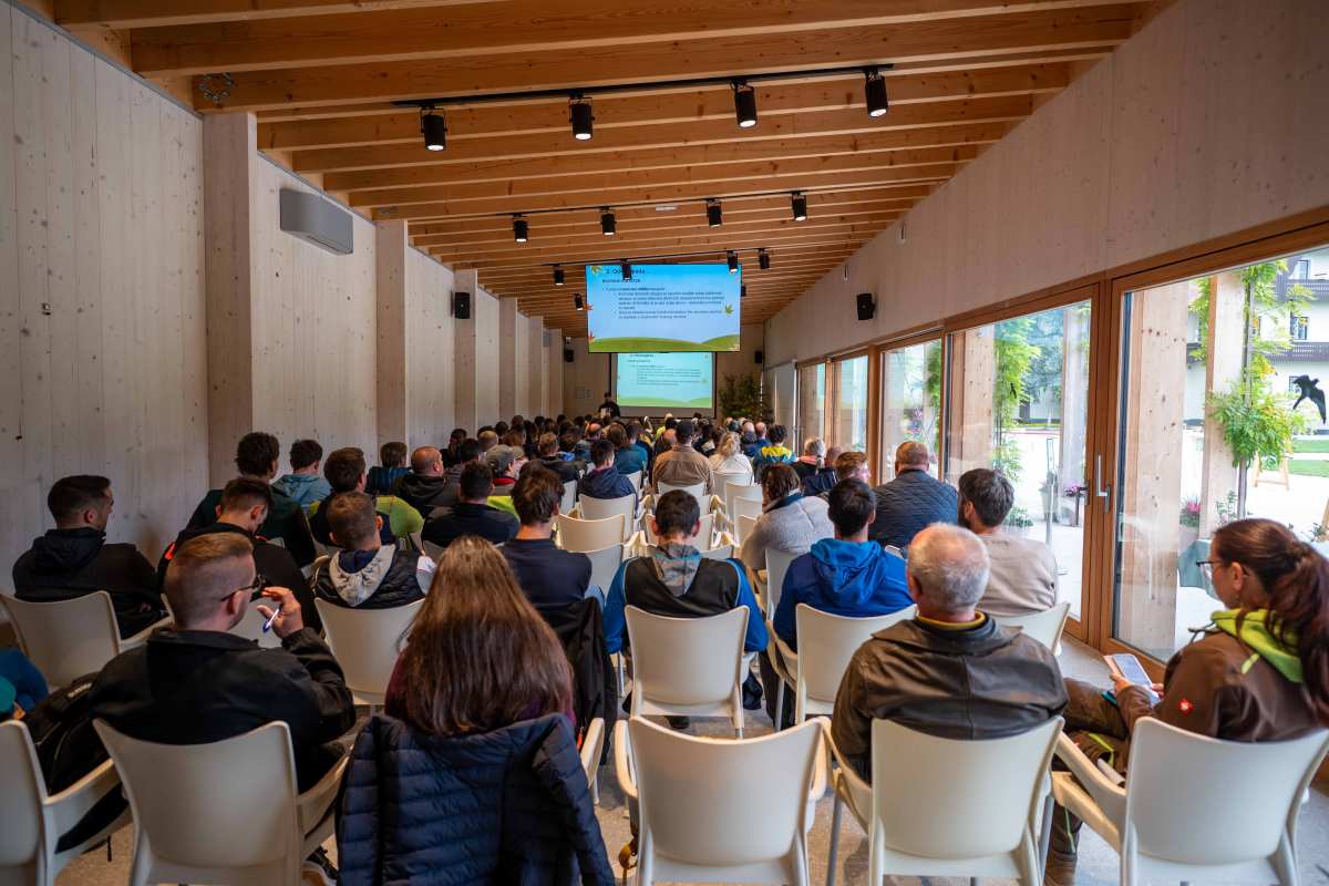 Strokovna predavanja na Slovenskih arborističnih dnevih 2026. Foto: Nika Halaš Udeleženci sedijo v polni predavalnici z lesenimi stenami in velikimi okni ter spremljajo predstavitev na zaslonih.