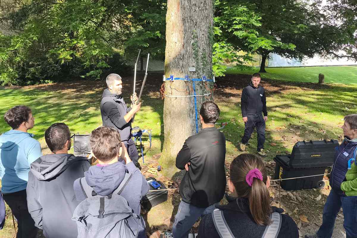Prikaz na terenu. Foto: Nika Halaš Skupina ob drevesu spremlja prikaz merilne opreme. Okoli debla so nameščena tipala, povezana s kabli.