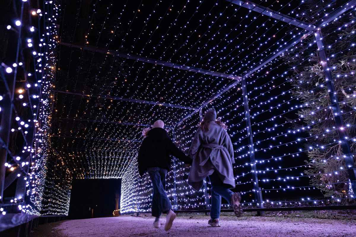 Dve osebi se držita za roke in stopata skozi tunel, katerega stene in strop prekrivajo številne drobne bele lučke.