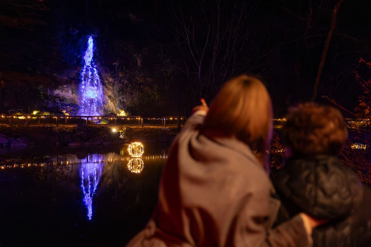 Osvetljeni slap v Arboretumu Volčji Potok (Foto: Miha Kokole) Obiskovalca opazujeta modrovijolično osvetljen slap, ki se zrcali na vodni gladini. Ob vodi svetijo rumene lučke in svetlobna krogla.