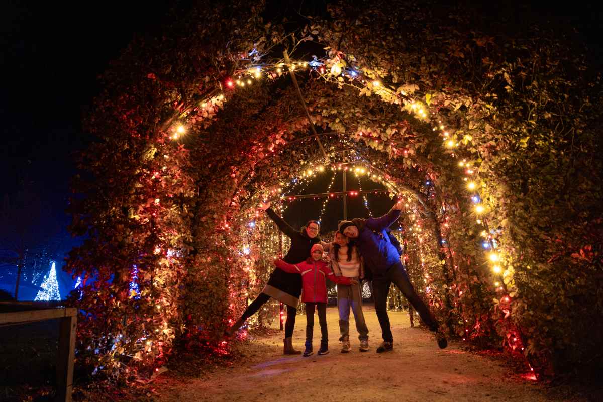 Skupni trenutki pod svetlobnimi oboki v Arboretumu Volčji Potok (Foto: Miha Kokole) Štirje obiskovalci pozirajo pod zaporednimi oboki iz rastlinja in pisanih lučk. Osebi na robovih razširjata roke in dvigujeta nogo.