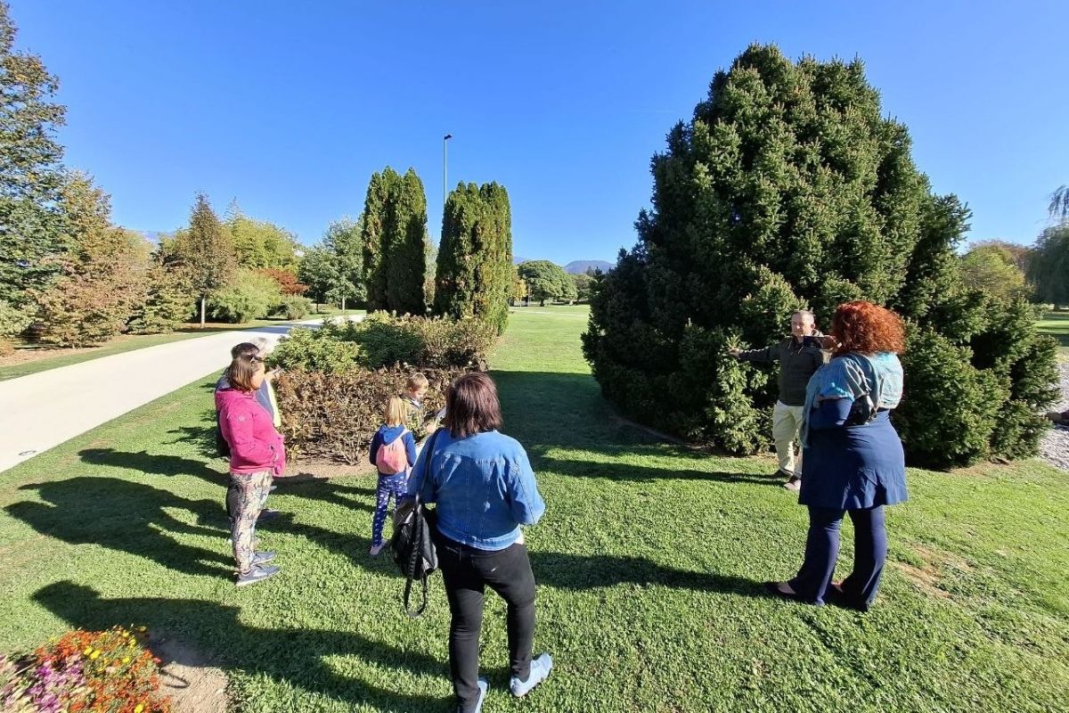 Iglavci kot ogrožena dediščina Arboretuma Volčji Potok Matjaž Mastnak stoji ob velikem, gosto razraščenem iglavcu in z roko kaže proti drevesu, medtem ko ga skupina obiskovalcev posluša.