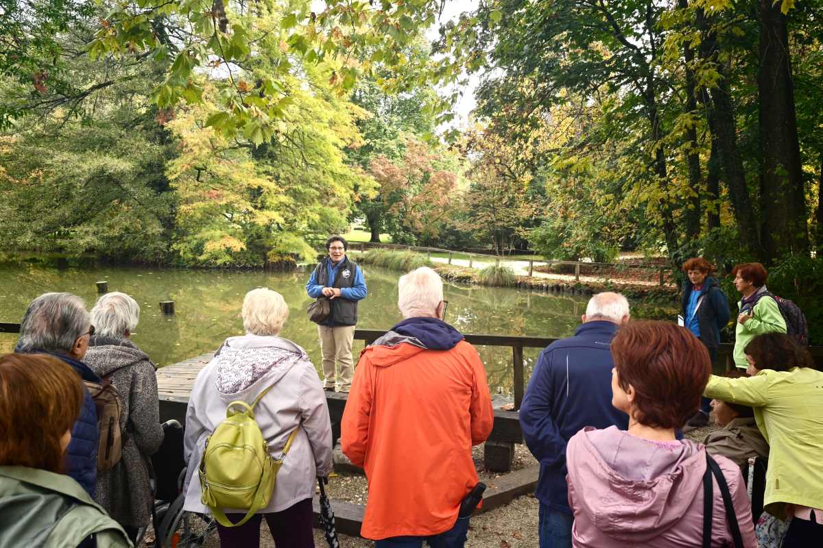 Zdenka Čebašek-Travnik stoji na lesenem podestu ob Jezeru rdečega javorja v Arboretumu Volčji Potok in nagovarja skupino udeležencev sprehoda z Modro palico. Okoli jezera rastejo drevesa z jesensko obarvanimi listi.